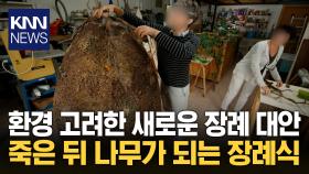 ＂죽음과 새 생명 잇는 상징＂ 죽은 뒤 나무가 되는 장례 ′화제′ / KNN