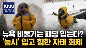 뉴욕 비둘기는 뭔가 다르다? 패딩 입고 포즈 ′척′ 눈길/ KNN