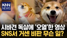 ＂이런 상황에도 카메라 켜냐＂ 반려견 죽음에 눈물 쇼 논란 / KNN
