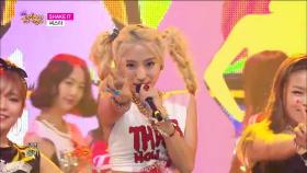 【TVPP】 씨스타 - ‘Shake It' @ 쇼! 음악중심 2015