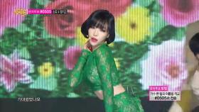 【TVPP】가인(브라운 아이드 걸스) - ‘진실 혹은 대담’ @쇼 음악중심 2014