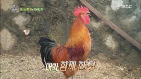 윤정수&김태원, 닭과 물아일체