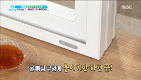 '해충' 이동통로를 막아라!