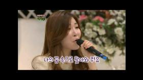 【TVPP】 이해리(다비치) - 귀호강 가창력 뮤지컬 & 트로트 @세바퀴 2011