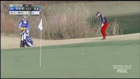 LPGA 박희영, 15번홀에서 칩인버디 성공!