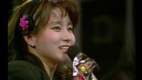 【1989】 이지연 - 바람아 멈추어다오 (응답하라 1988 삽입곡)