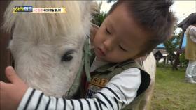 앰버 없인 유치원 등원도 거부! 앰버야 지켜줄게!