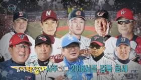 사주로 본 2016 감독 운세 2탄