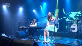 제이레빗 - happy things @NanJang