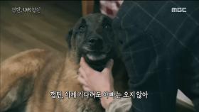 12년 동안 주인의 곁을 지킨 캡틴의 이야기