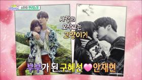 【TVPP】구혜선 - 신혼일기의 씬스틸러 반려동물들이 오작교 역할을? @섹션TV 2016
