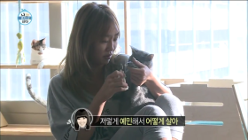 【TVPP】 효린(씨스타) - 고양이 집사 효린(?) 삼 남매를 향한 무한 애정! @ 나 혼자 산다 2015