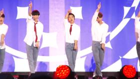 【TVPP캠】 EXO - 'Love Me Right' 클로즈업 Ver @ 2015 DMC Festival