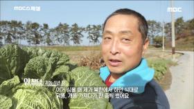 배추 농사를 짓는 귀농 1년 차의 창덕 씨