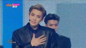 【TVPP】 EXO - 컴백 무대 ‘Exodus' @쇼! 음악중심 2015