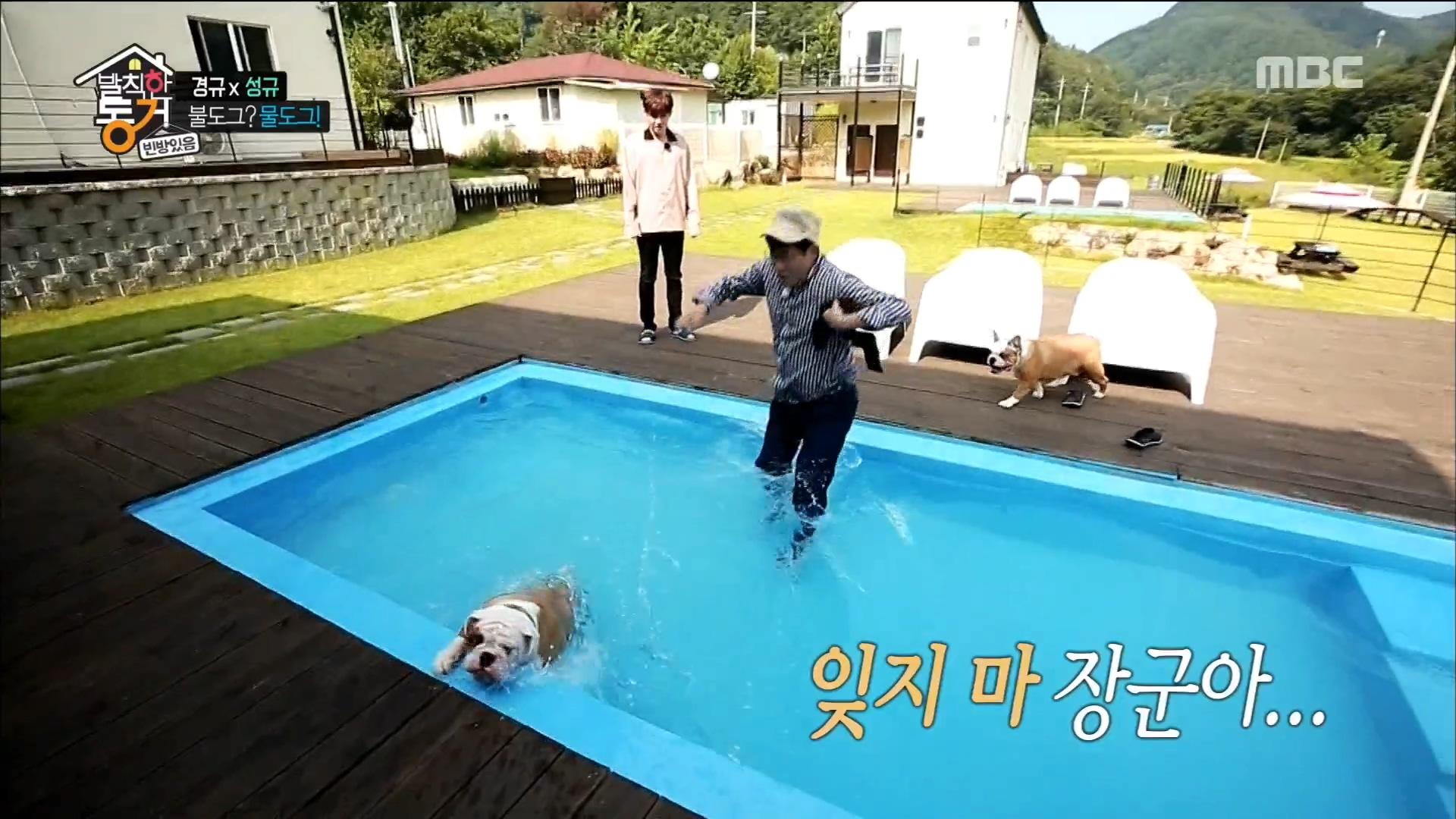 장군이 구하러 1초의 망설임 없이 뛰어드는 킹경규!