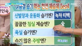 여름철 집안 습기를 잡자!