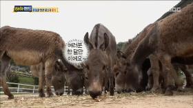 한 달만에 만나는 홍키! '저 잊지 않았죠?'