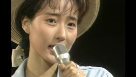 【1990】 강수지 - 보라빛 향기 (응답하라 1988 삽입곡) 데뷔 무대!