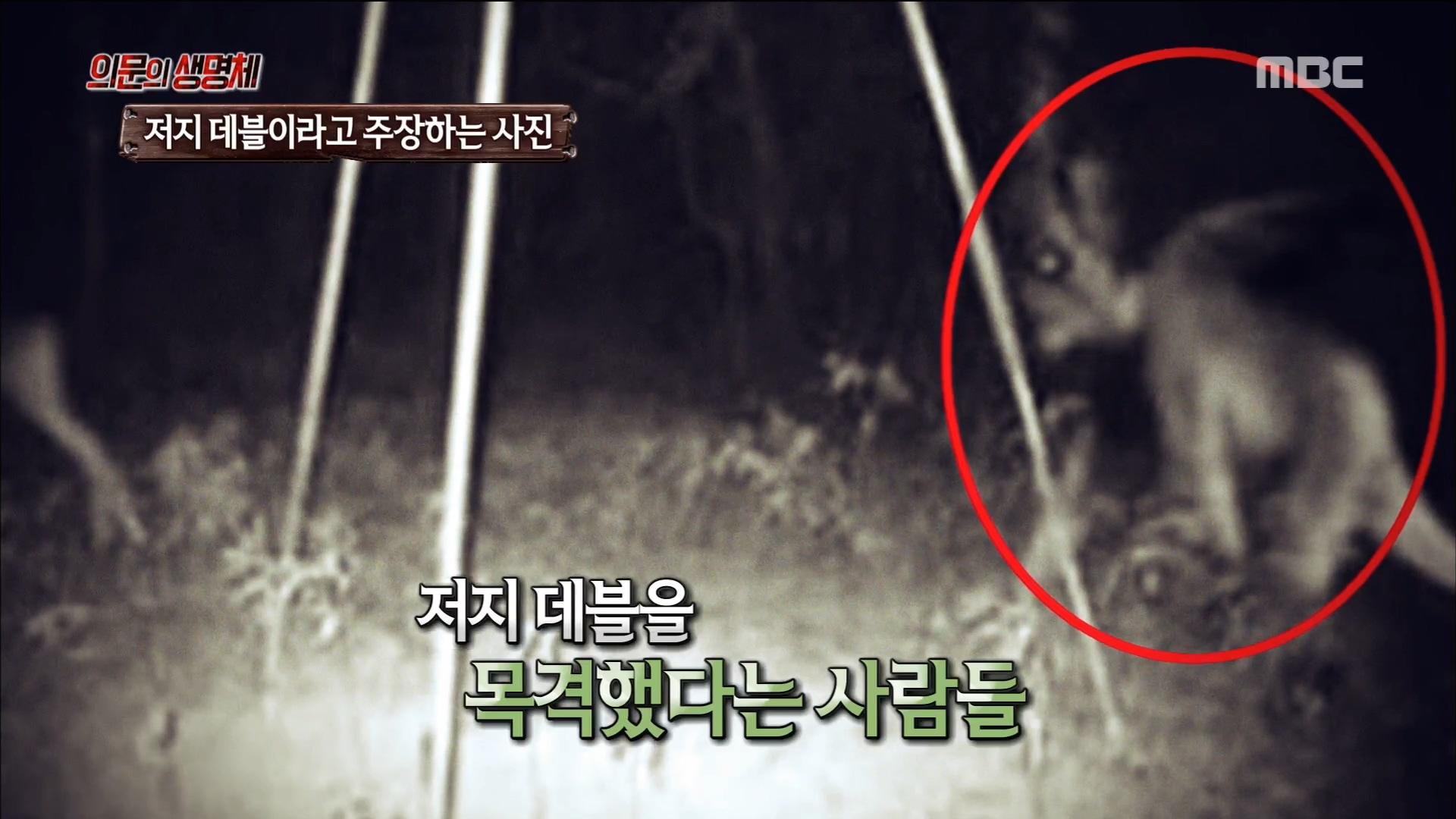 괴생명체 저지 데블의 정체는?! | ZUM TV