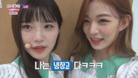 [막피디 하드 대방출 특집] 프로미스나인 사심캠