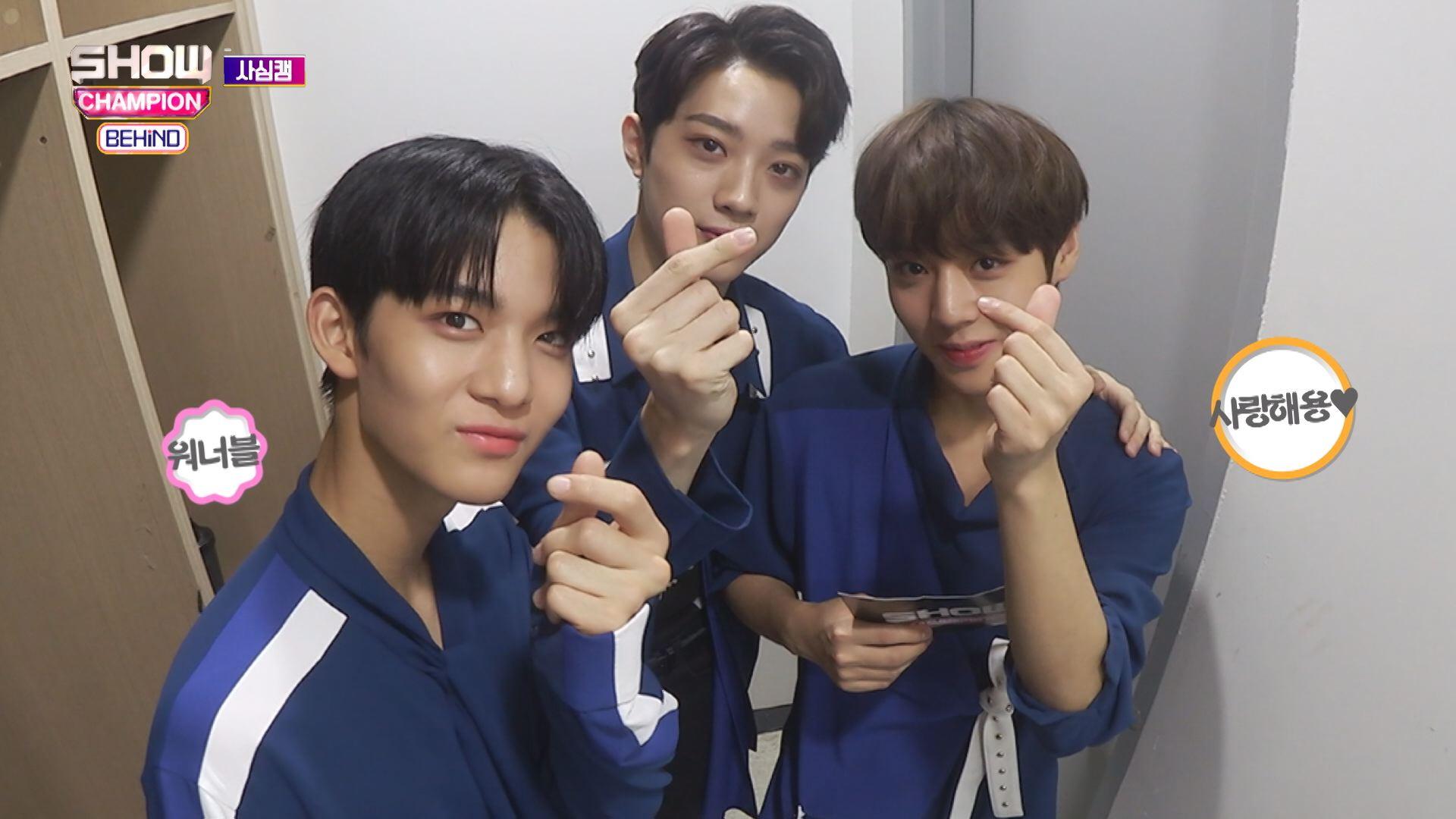 [속보] (남바완피셜) 배진영의 딥은 딥슬립의 딥인 것으로 밝혀져 | ZUM TV