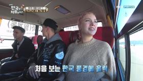 '한국 풍경 홀릭' 폴란드 친구들, 두근두근 서울 가는 길