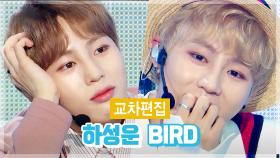 《스페셜X교차편집》 하성운 - BIRD(HA SUNG WOON - BIRD)