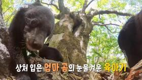 지리산에 반달곰이 산다 예고