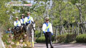 시민 지키는 이색조합 '기마경찰대'