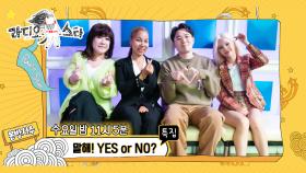 셀프캠특집 '말해! YES or NO?' 노사연, 인순이, 붐, 전소연