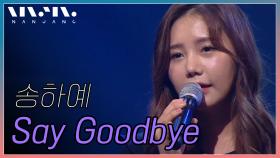 송하예 - Say Goodbye @NanJang