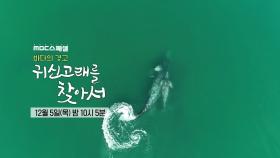 ＜바다의 경고 귀신 고래를 찾아서 2부＞ MBC 스페셜 예고