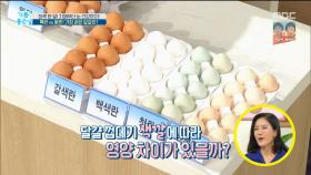 달걀 껍데기 '색깔'에 따라 영양 차이가 있을까?
