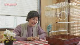 일본에 있던 60대 여성과 그의 특별한 친구 이야기!