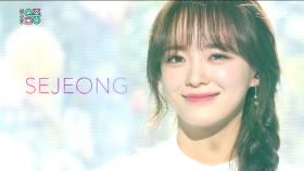 세정 -화분 (SEJEONG -Plant)