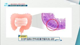 면역세포의 공장 ＜장 점막＞ 건강법