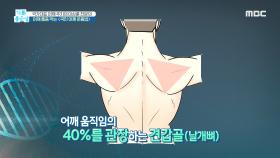 어깨 통증 막는 ＜국민 어깨 운동법＞