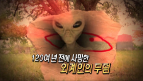 [서프라이즈 다시보기] 추락한 UFO에서 나온 외계인의 무덤! 충격 실체!!