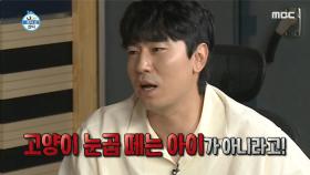 유아인의 감성 FLEX?! 나는 음식으로 그림을 그리는 아티스트...