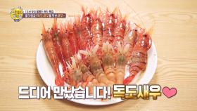 [선공개] 울릉도의 특별한 맛 '독도새우'🍤