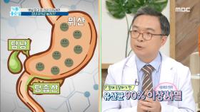 뱃살 잡고 장 건강 지키려면 '장내 유익균' 늘려라?