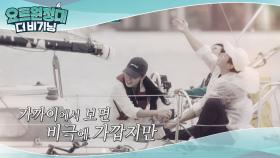 선장님 없는 엉망진창 첫 출격! (비극과 희극 사이)