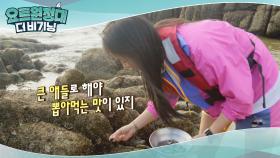 프로 섬 적응러 소유의 고둥 체취 (섬사람인줄)