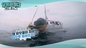 위험한 상황에 발 벗고 나선 장혁x김승진