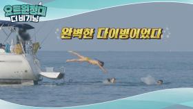 지상낙원이 따로 없는 모닝 수영☆ (다이빙 잼)