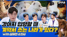 내 소중한 강아지 🐶 외국인들이 본 사지 말고 입양하라는 이유 (with. 설채현 수의사) / 별다리 연구소