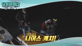 백숙 원정대의 닭백숙 상륙작전☆