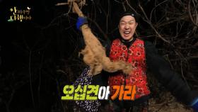 [선공개] 무한감격✨… 거대한 크기의 칡과 한판 승부! MBC 201205 방송