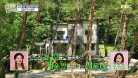 시원한 소나무가 전원 주택을 감싸네...☆ MBC 200913 방송